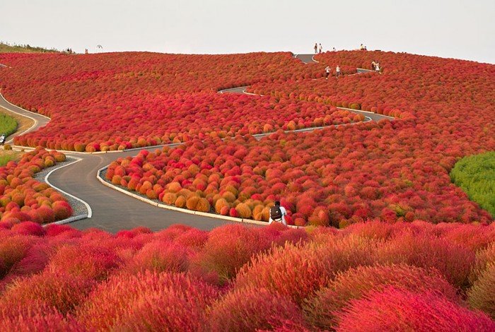 Осінній пейзаж. Хитачи, Япония