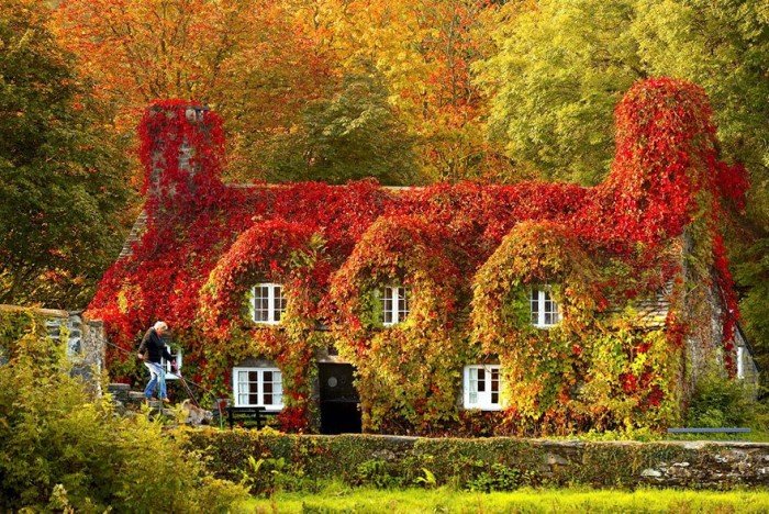 Осінні пейзажі. Будиночок Лланрусте в Північному Уельсі