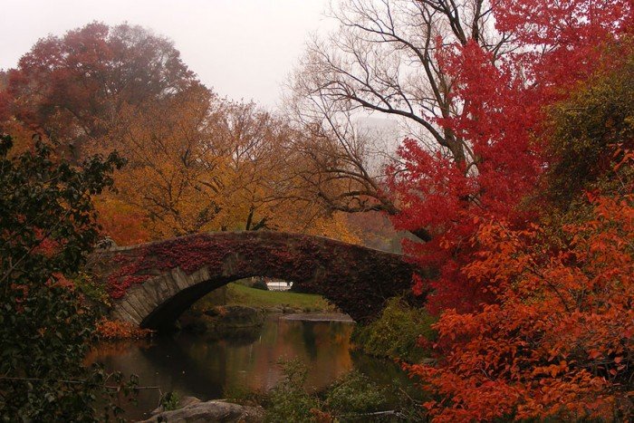 Гарні осінні фото природи. Міст Гепстоу, США, Нью-Йорк
