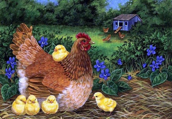 Загадки о домашних животных: курица