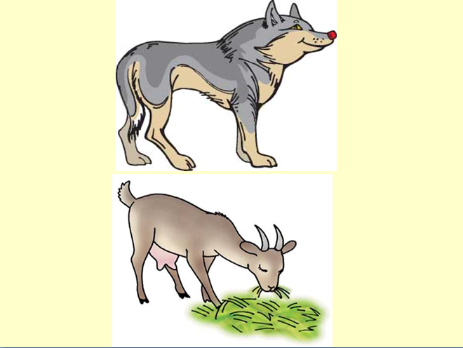 Загадка про волка, козу и капусту
