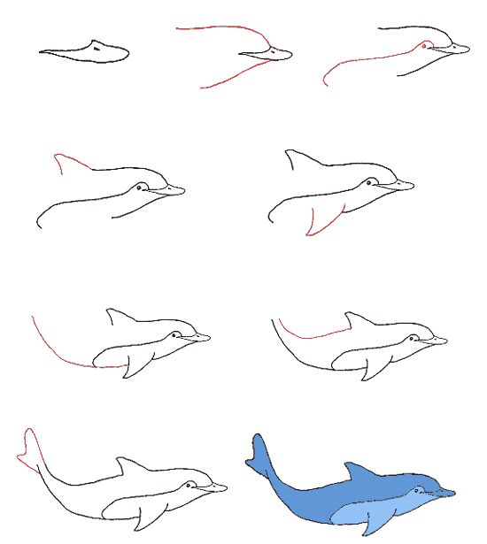 Учимся рисовать дельфина
