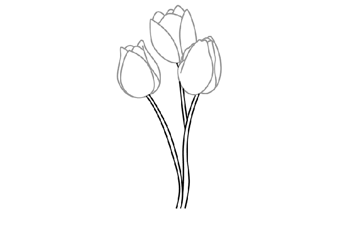 Малюємо тюльпани