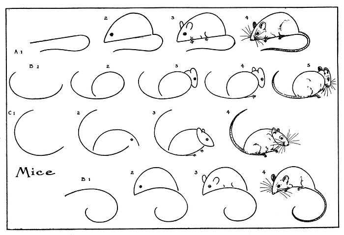 Как нарисовать мышку поэтапно, фото 34