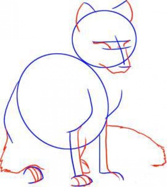 Як намалювати лисицю поетапно, фото 8