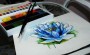 Малюємо лілію — квітку з розкішною історією