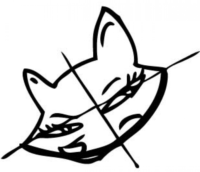 Як намалювати лисицю поетапно, фото 21