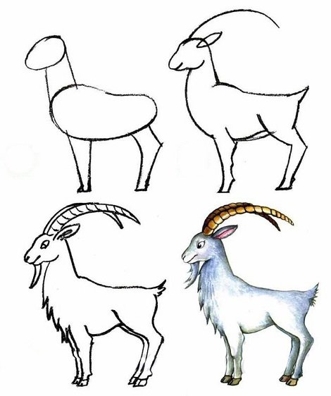Рисуем козу — символ 2015 года