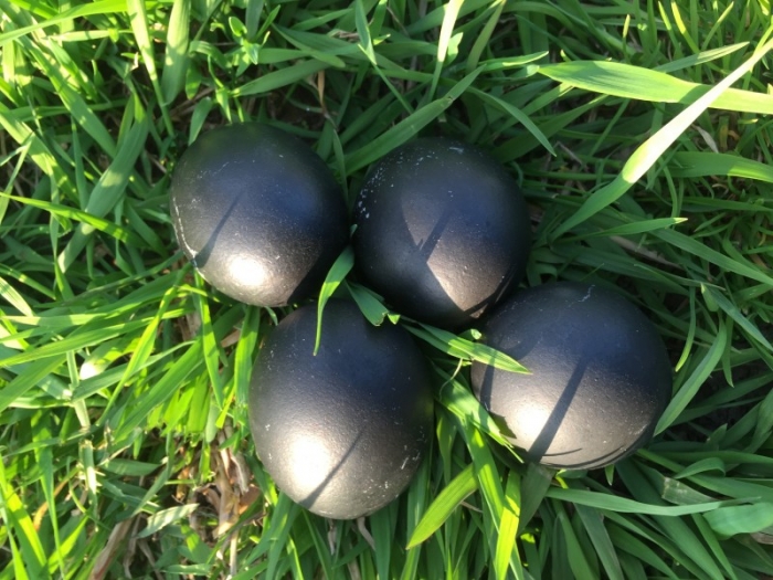 Черный цвет для пасхальных яиц