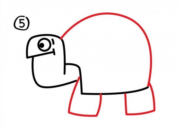 Як намалювати черепаху