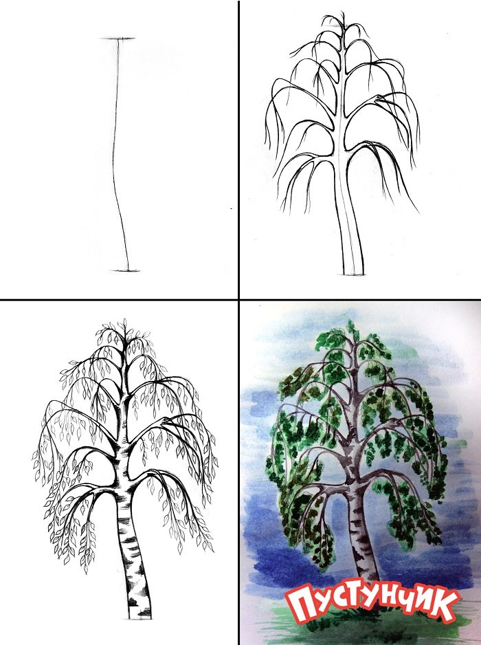 Як намалювати дерево - березу, фото 1