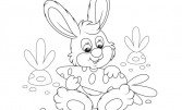 Розмальовка «Заєць із морквинкою»