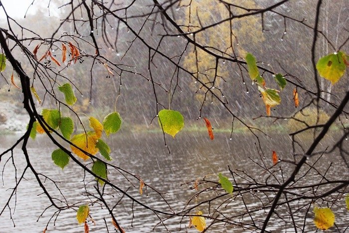 Прислів'я і приказки про природу