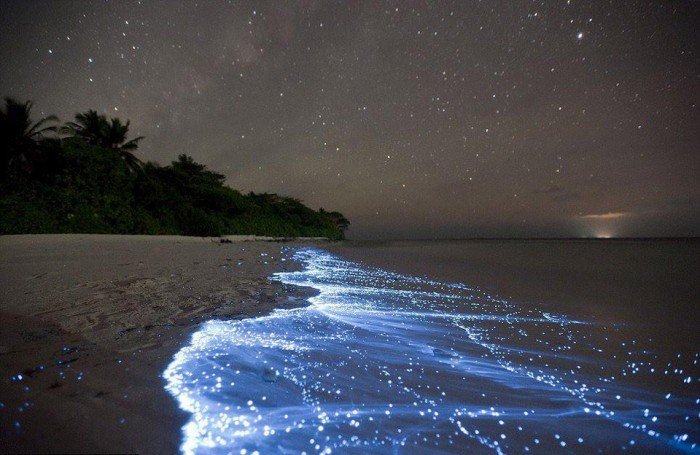 Самые сказочные места на Земле - Остров Вадху, Мальдивы