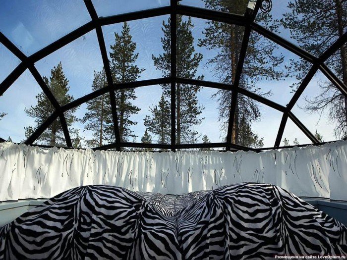 Отель в Лапландии - иглу из стекла