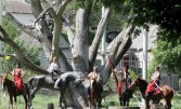10 самых старых деревьев в Украине