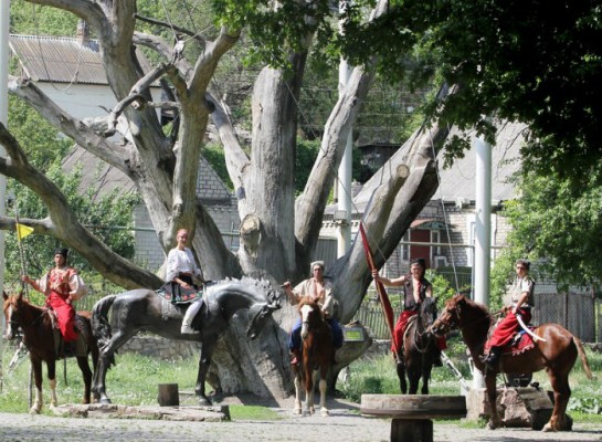 10 найстаріших дерев України