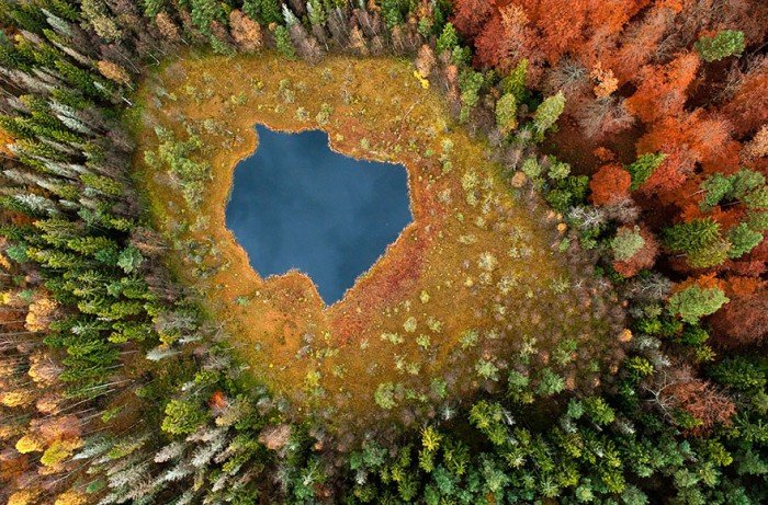 Лісове озеро, Польща восени