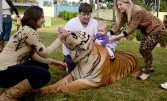 Домашній тигр