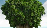 Баньян — дерево-ліс
