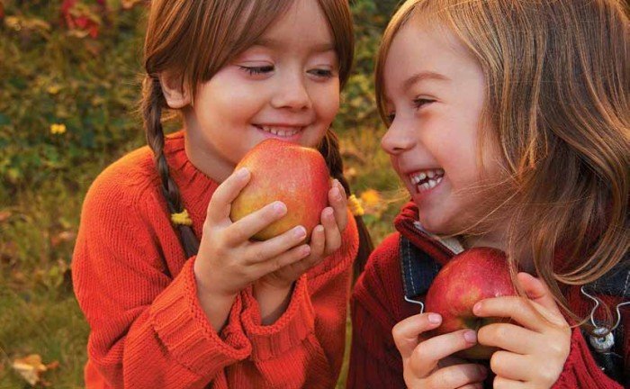 Дружба — навсегда! Прекрасные стихи о друзьях