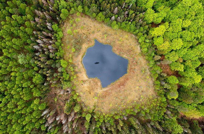 Лісове озеро, Польща