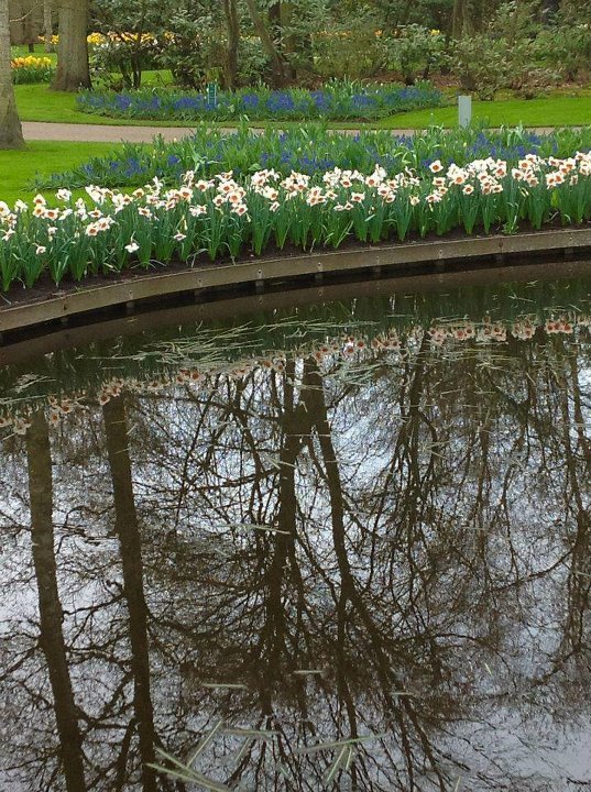 Весенний парк цветов у Кёкенхоф