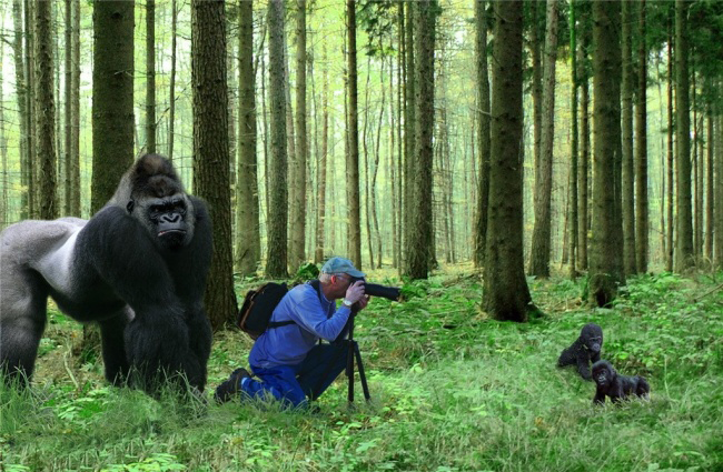 Фотографии за секунду до